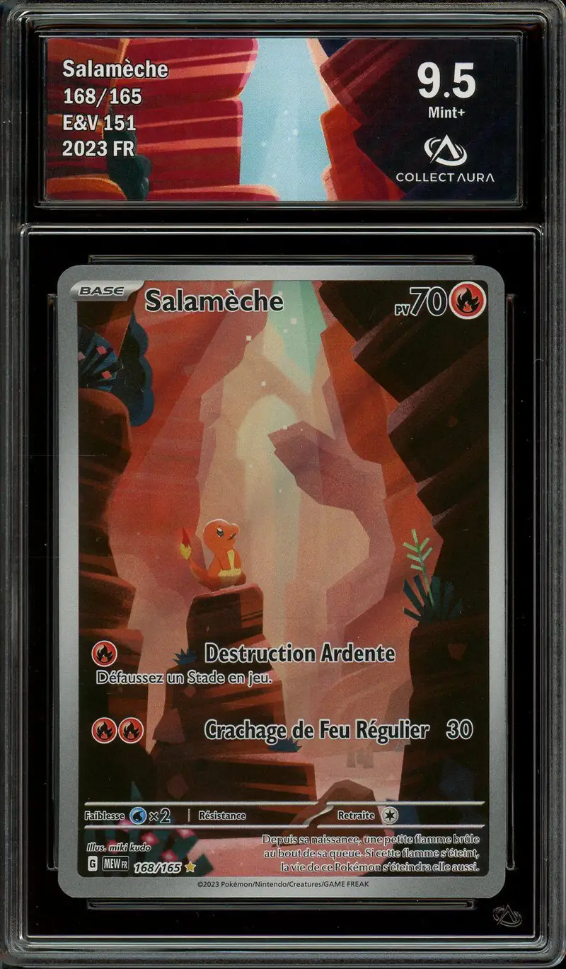 CA 9.5 Salamèche Holo