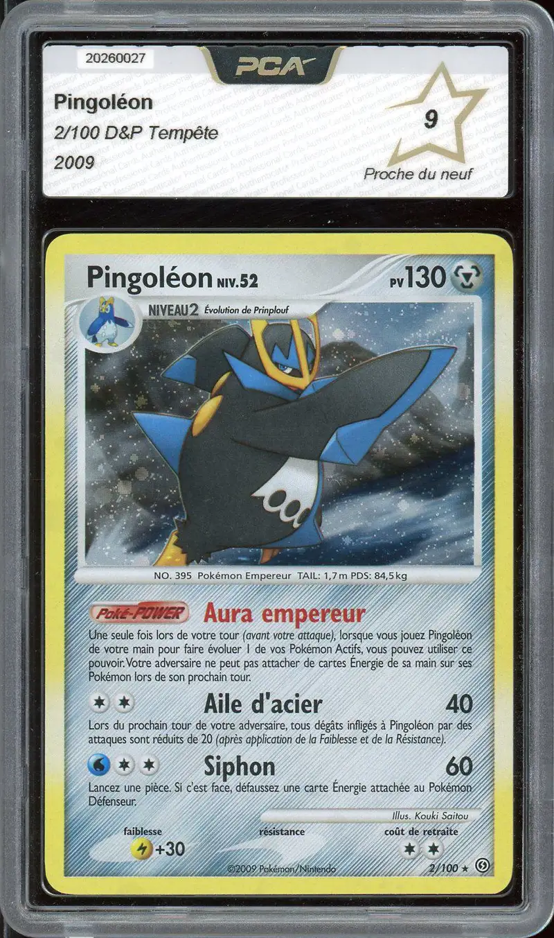 PCA 9 Pingoléon Holo
