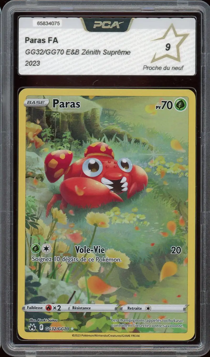 PCA 9 Paras