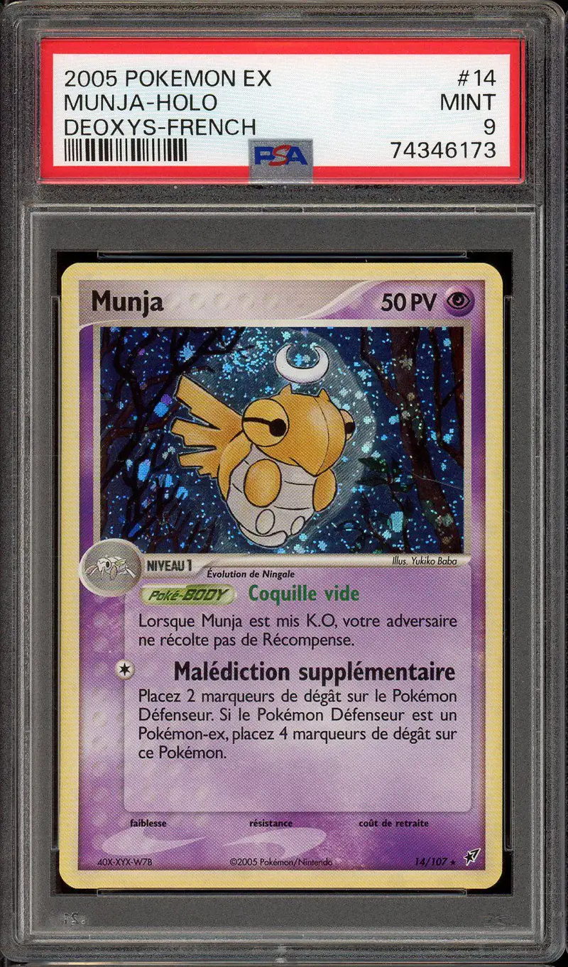 PSA 9 Munja Holo