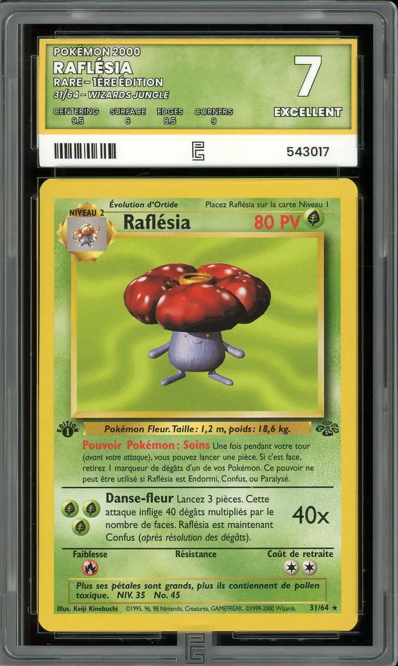 PG 7 Raflésia