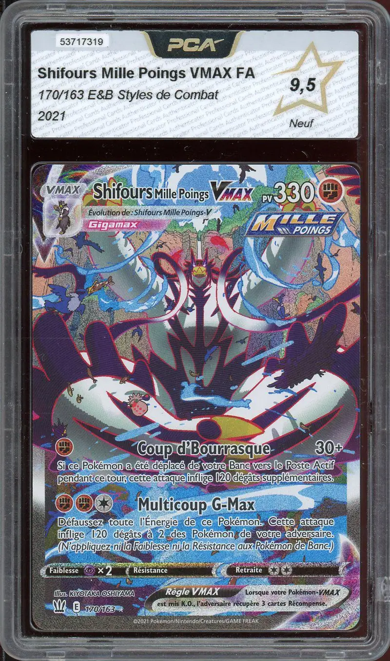 PCA 9.5 Shifours Mille Poings VMax
