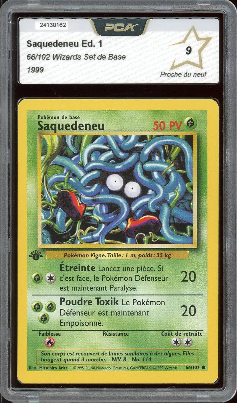 PCA 9 Saquedeneu