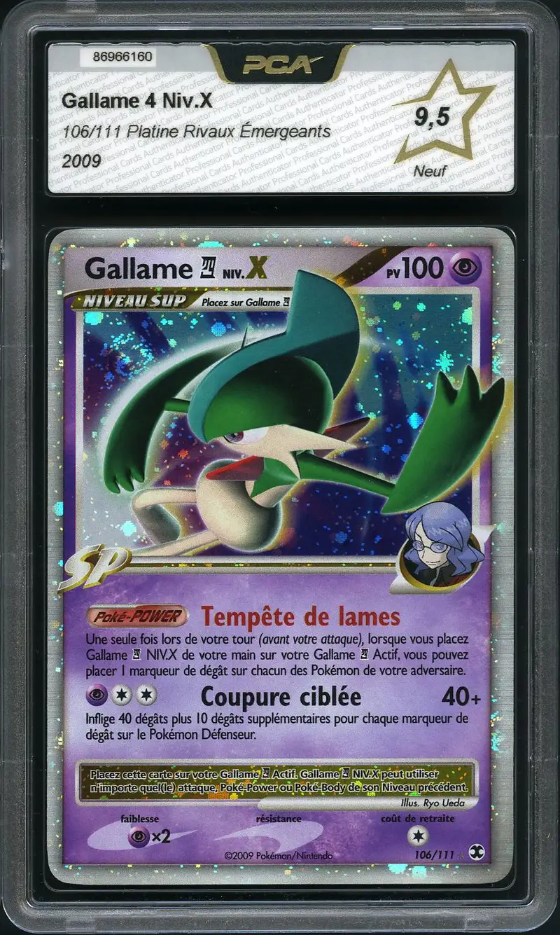 PCA 9.5 Gallame Niv. X