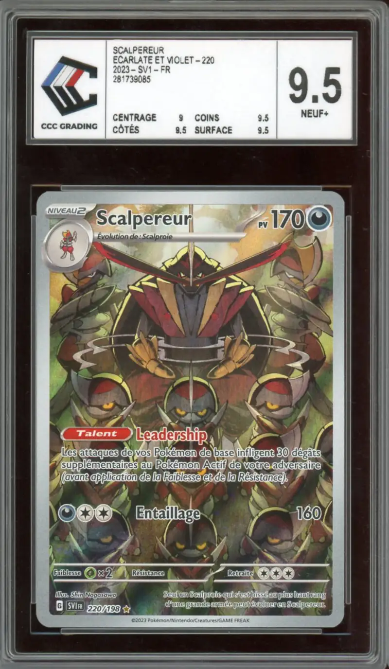 CCC 9.5 Scalpereur