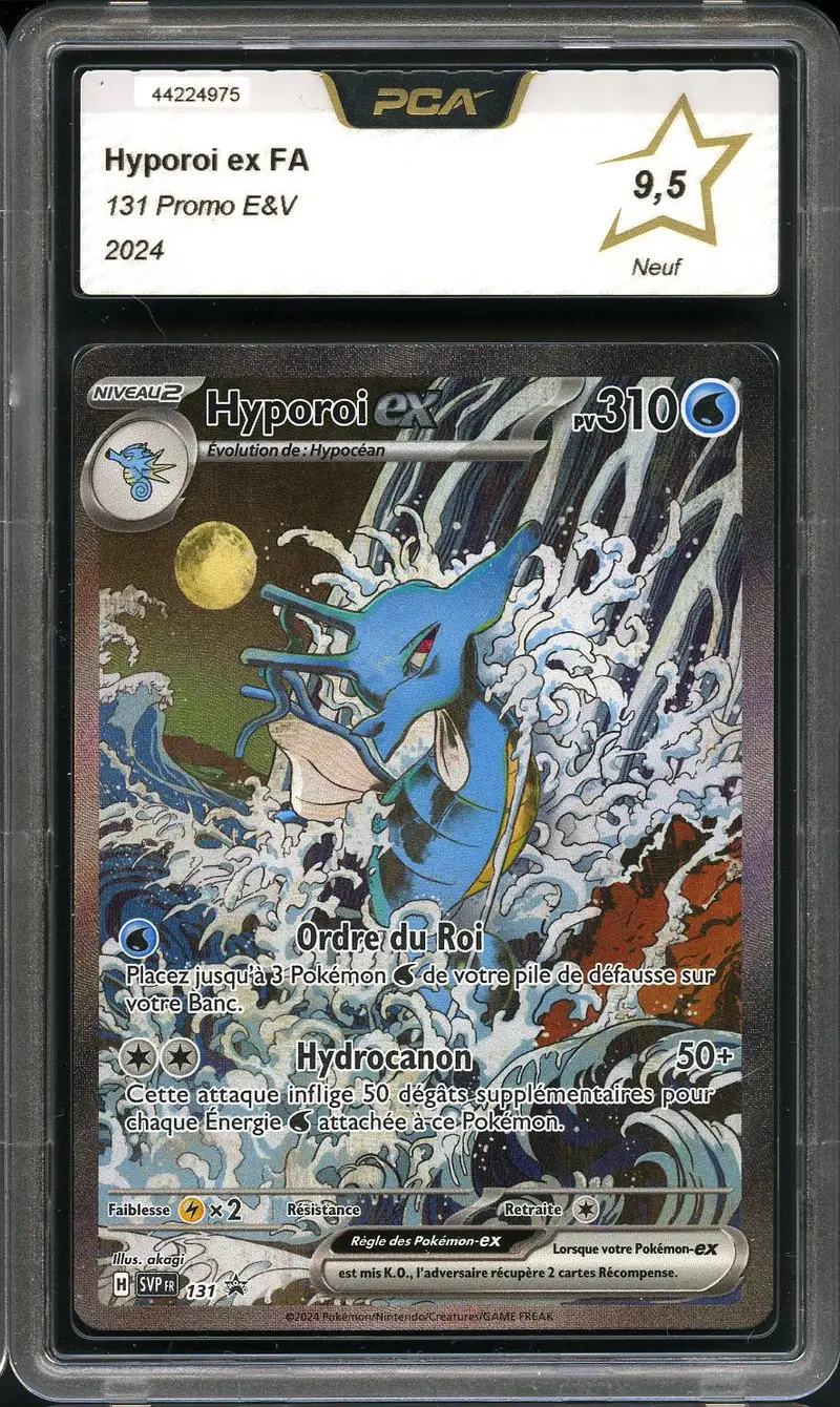PCA 9.5 Hyporoi Ex