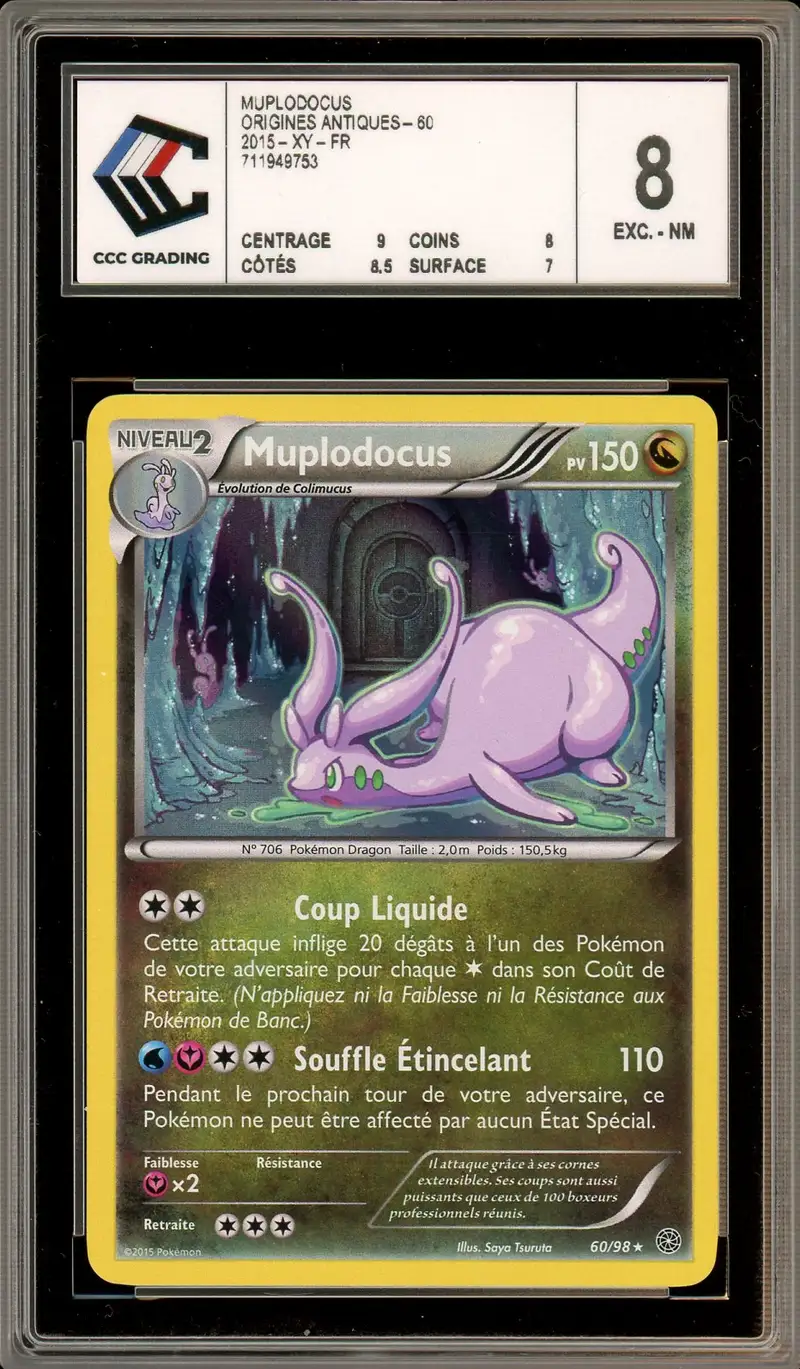 CCC 8 Muplodocus Holo
