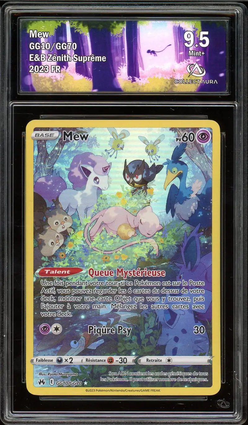CA 9.5 Mew