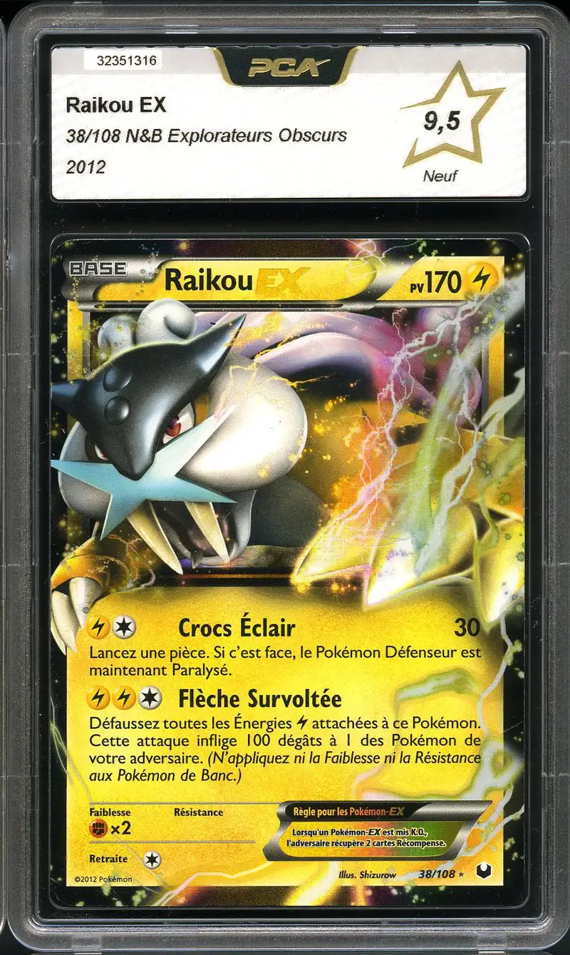 PCA 9.5 Raikou Ex