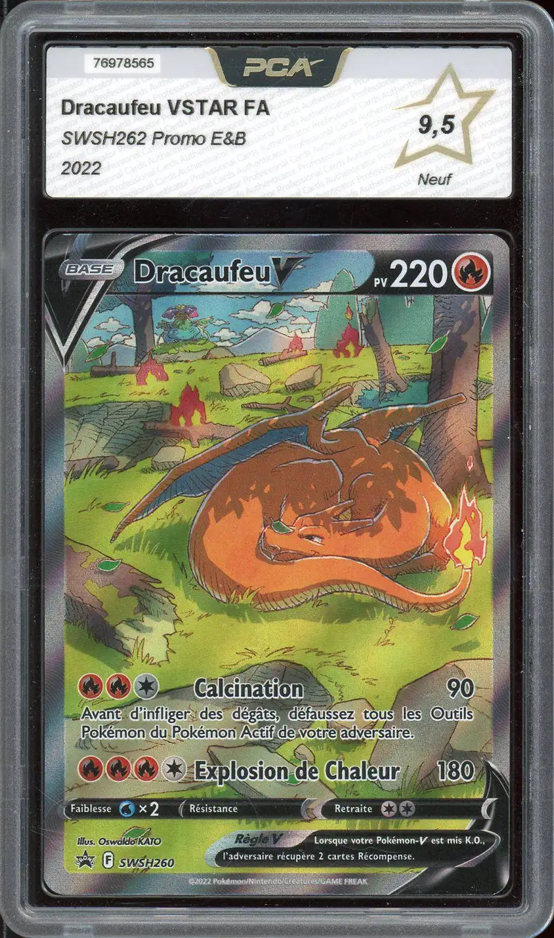PCA 9.5 Dracaufeu V