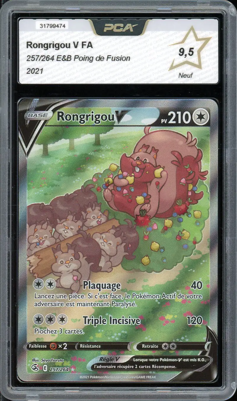 PCA 9.5 Rongrigou V