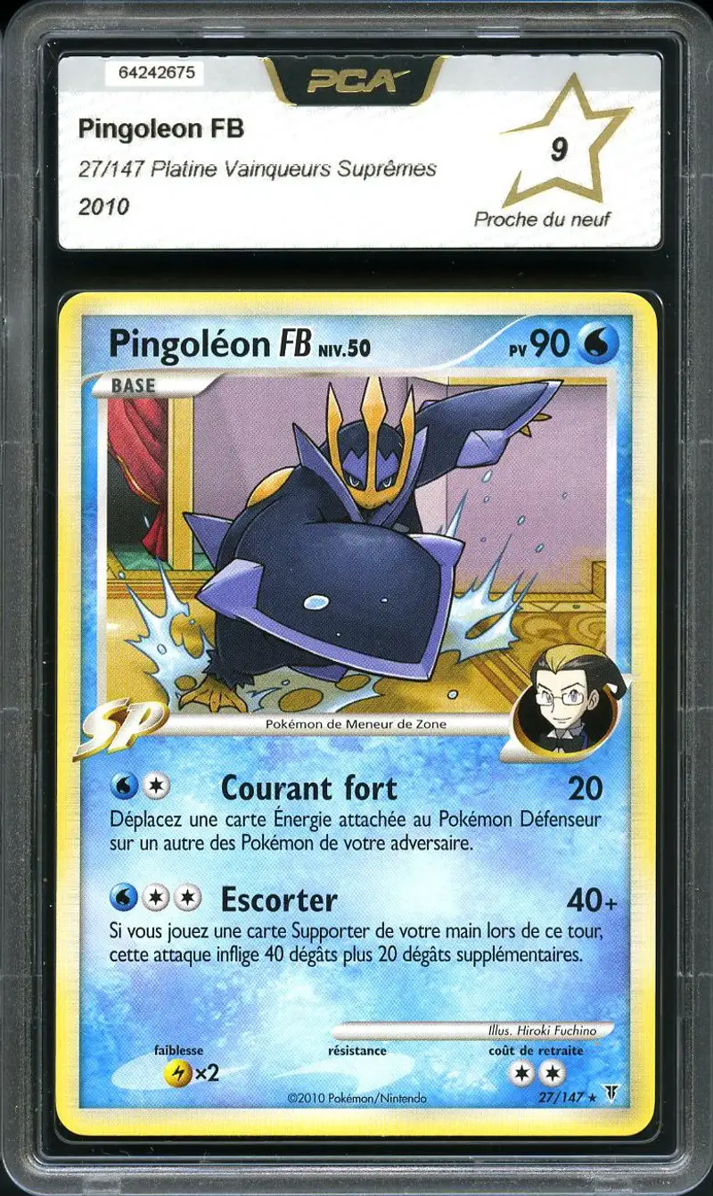 PCA 9 Pingoléon FB