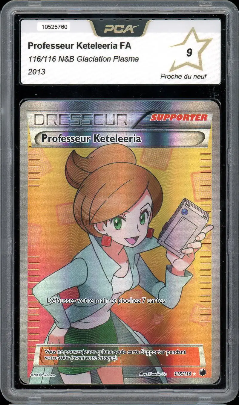 PCA 9 Professeur Keteleeria