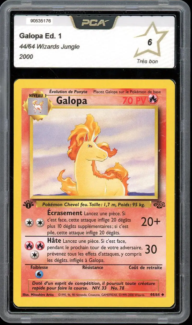 PCA 6 Galopa