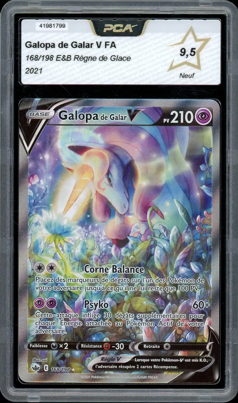 PCA 9.5 Galopa de Galar V