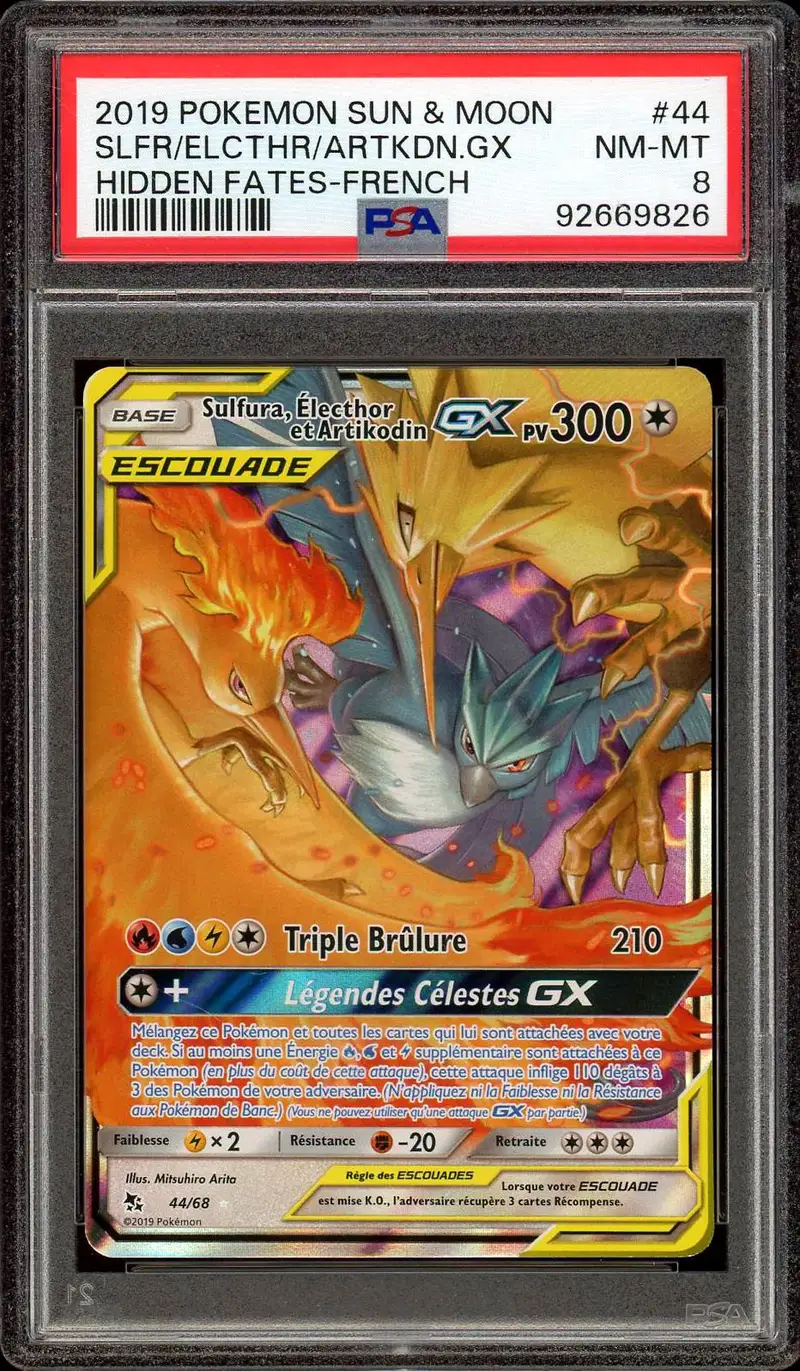 PSA 8 Sulfura, Électhor et Artikodin Gx