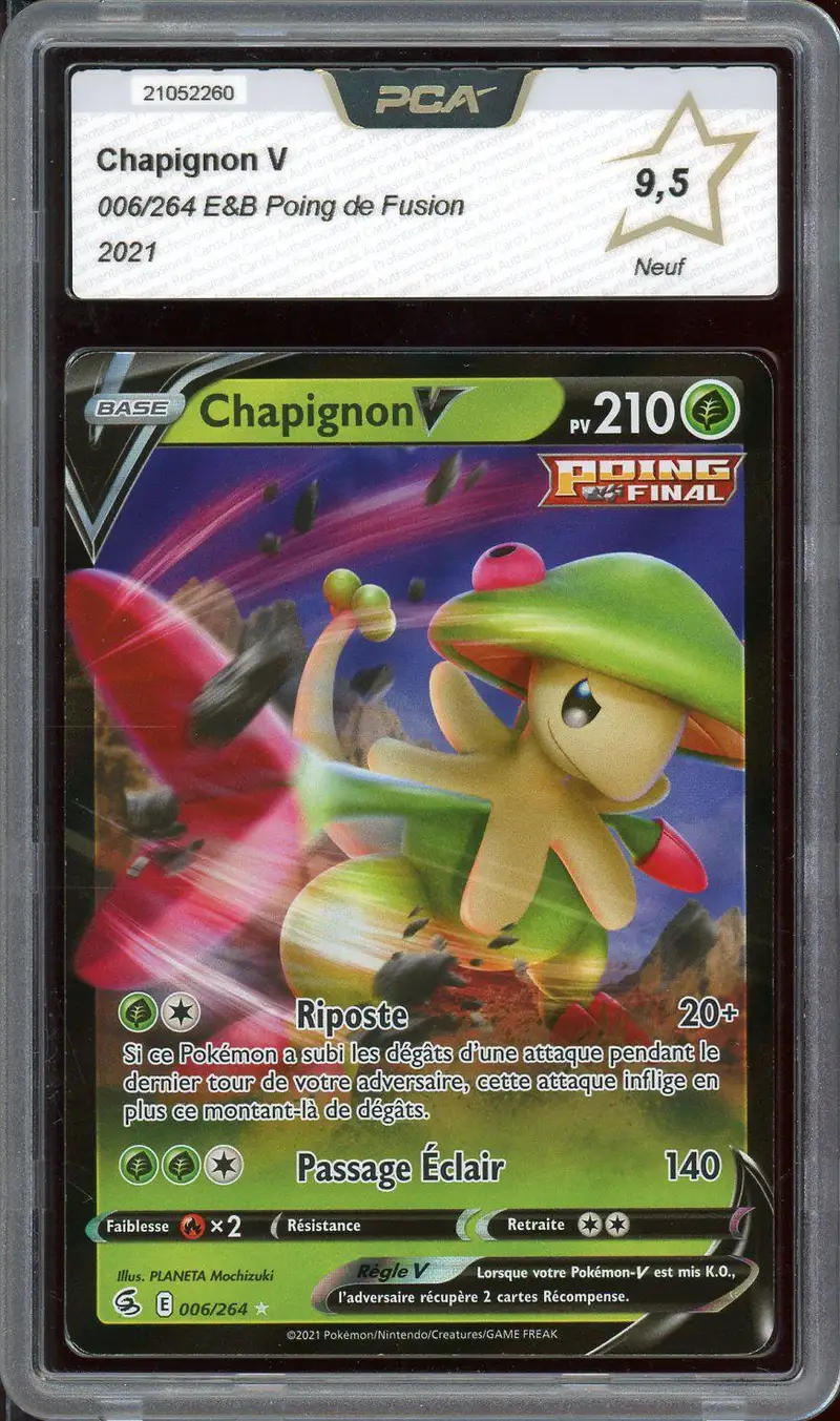PCA 9.5 Chapignon V