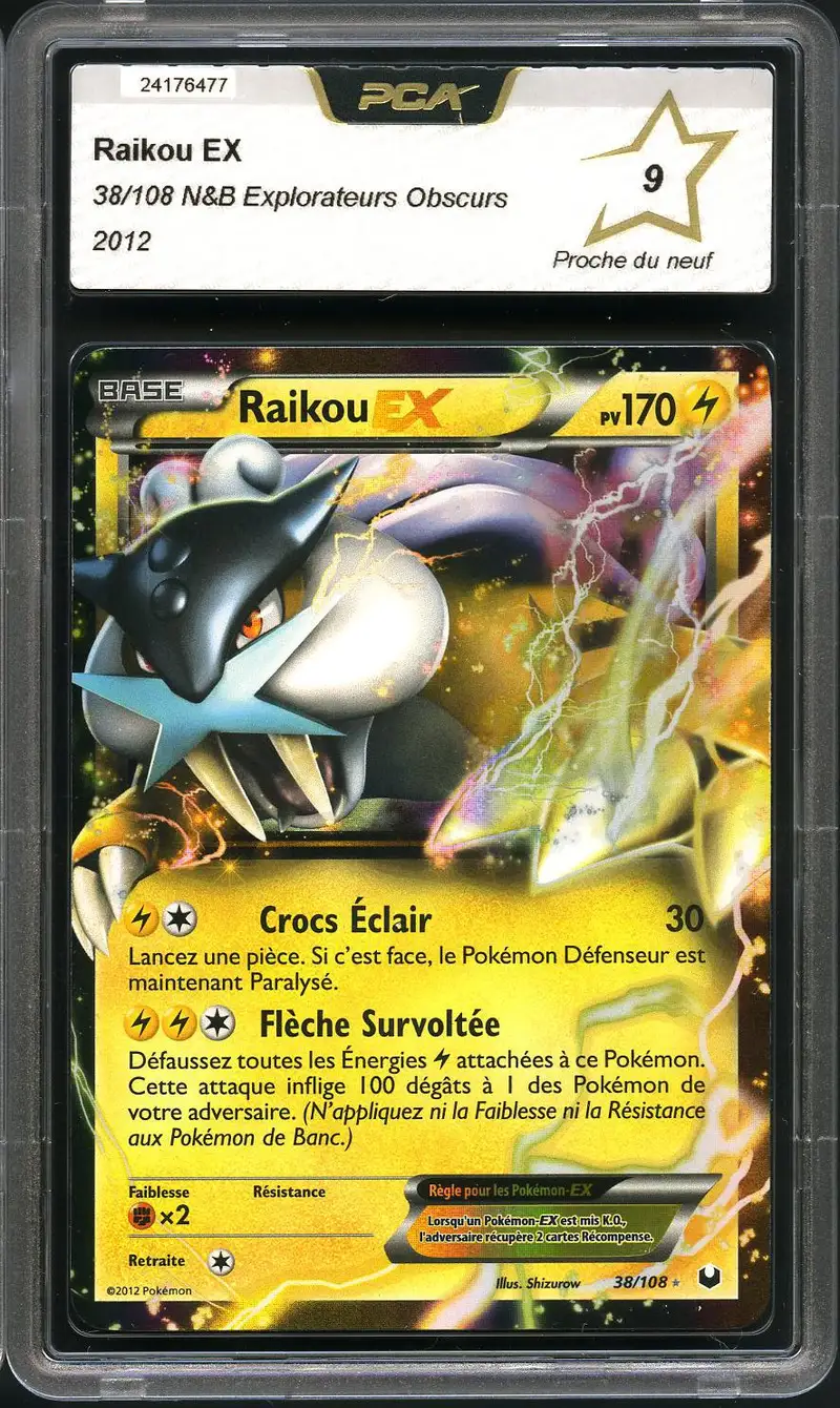 PCA 9 Raikou Ex