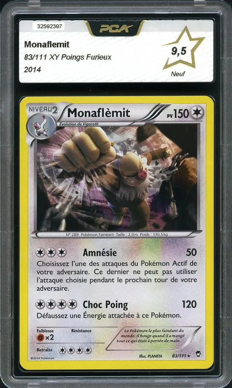 PCA 9.5 Monaflèmit Holo