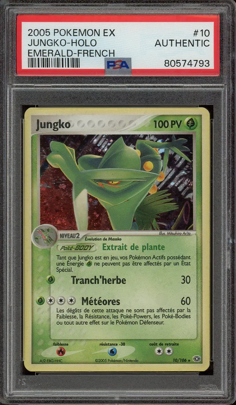 PSA A Jungko Holo