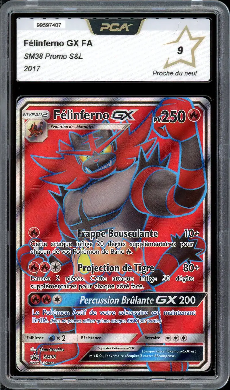 PCA 9 Félinferno Gx