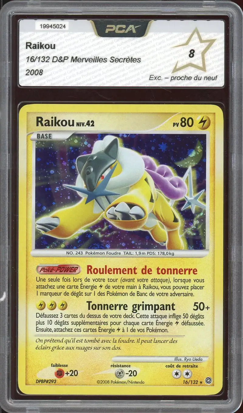 PCA 8 Raikou Holo