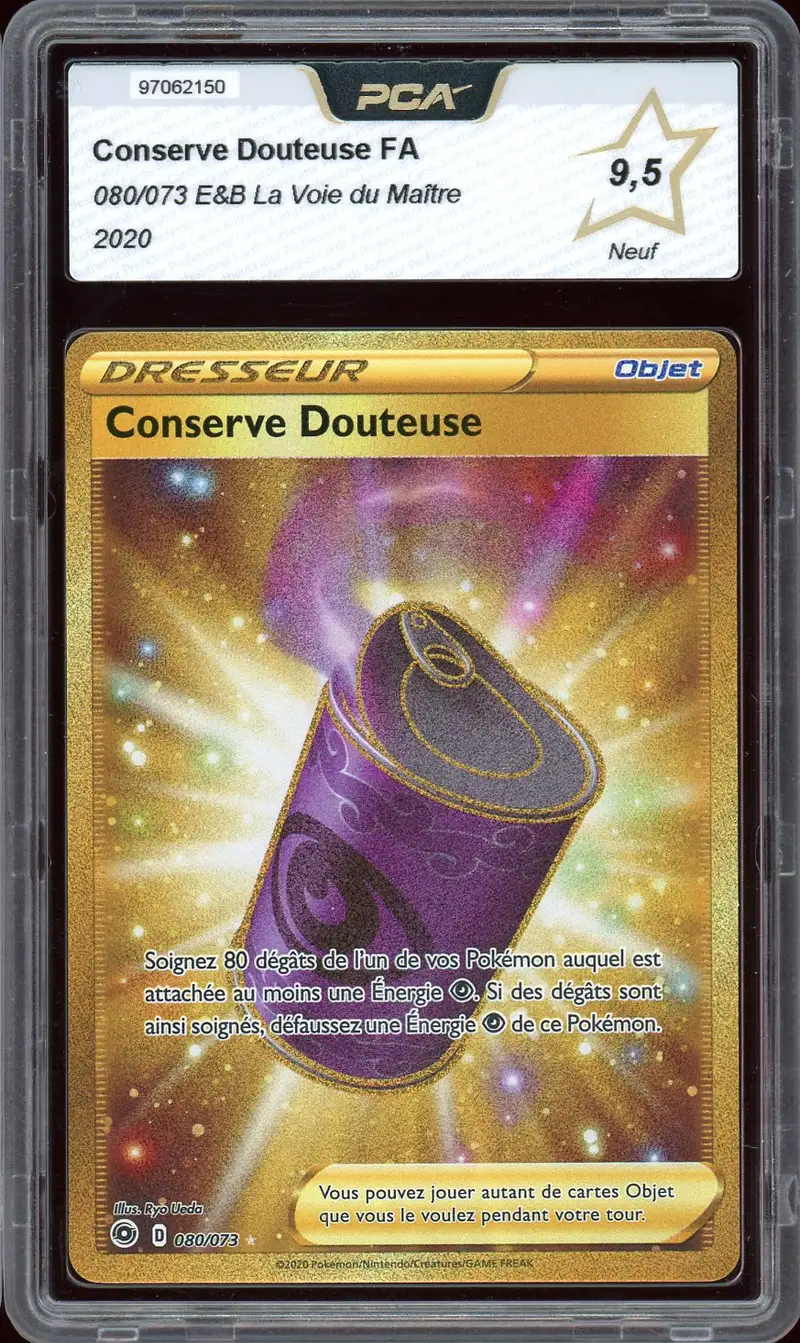 PCA 9.5 Conserve Douteuse FA
