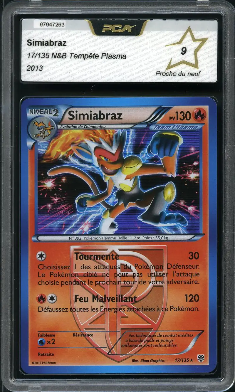 PCA 9 Simiabraz Holo