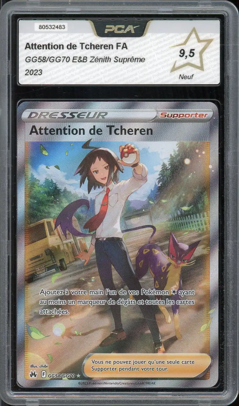 PCA 9.5 Attention de Tcheren