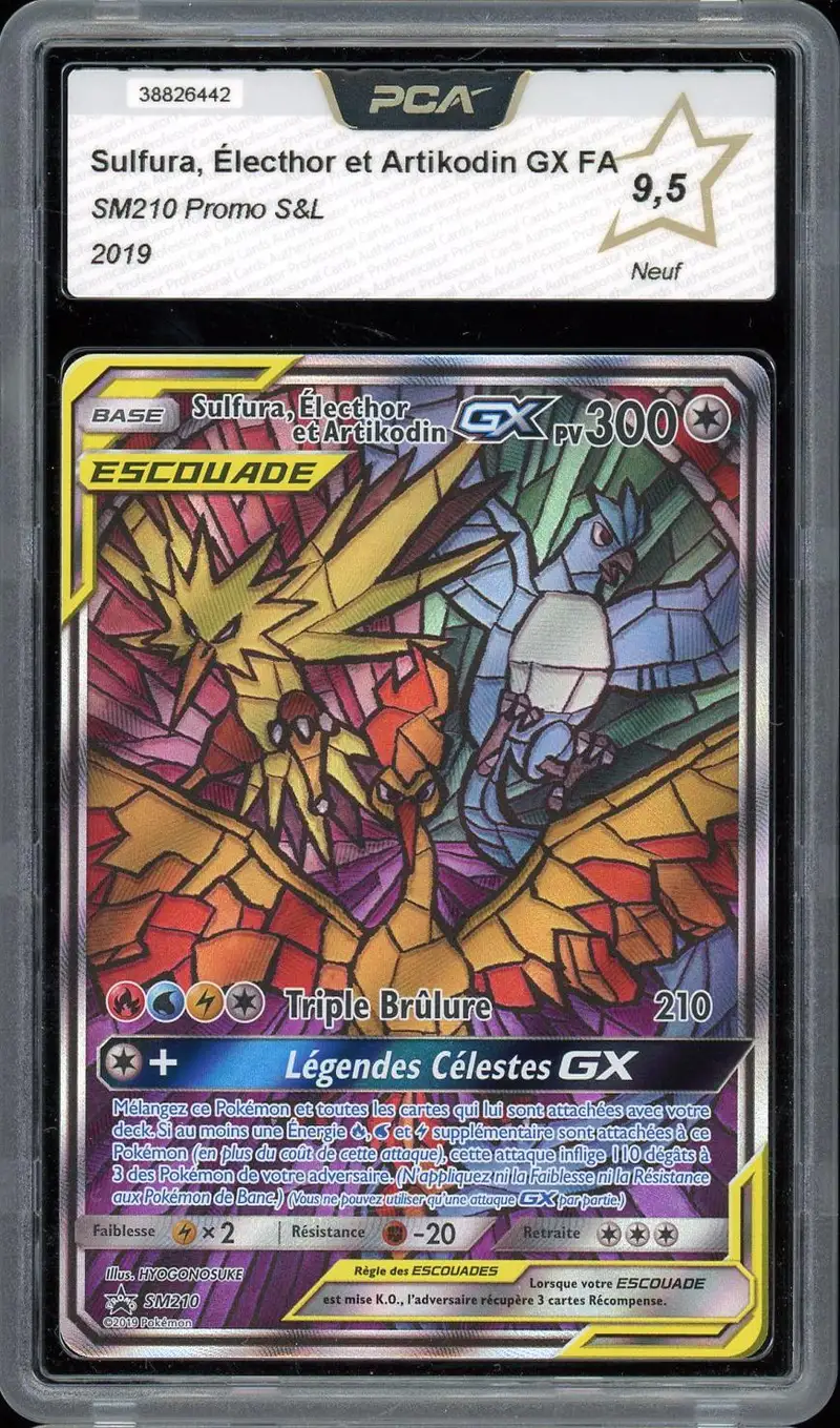 PCA 9.5 Sulfura, Électhor et Artikodin Gx