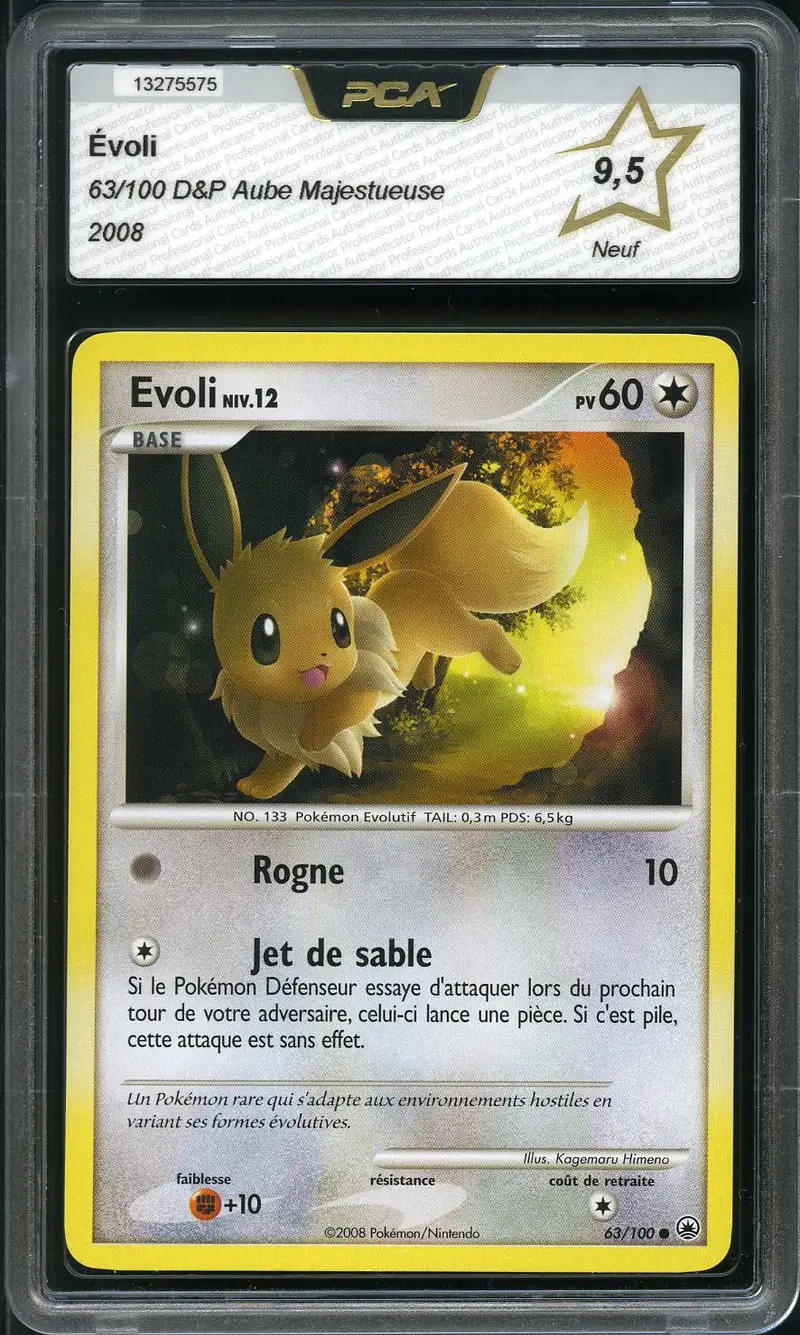 PCA 9.5 Evoli