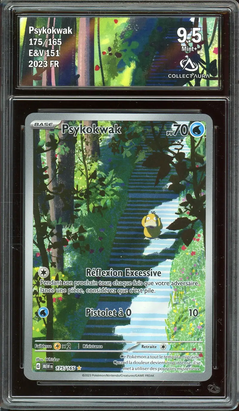CA 9.5 Psykokwak