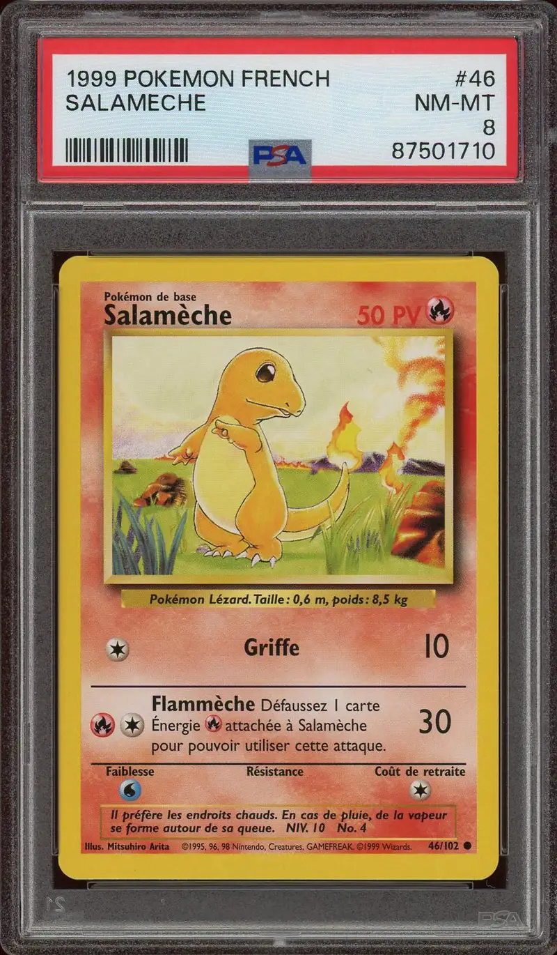 PSA 8 Salamèche