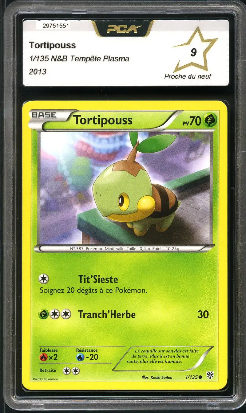 PCA 9 Tortipouss