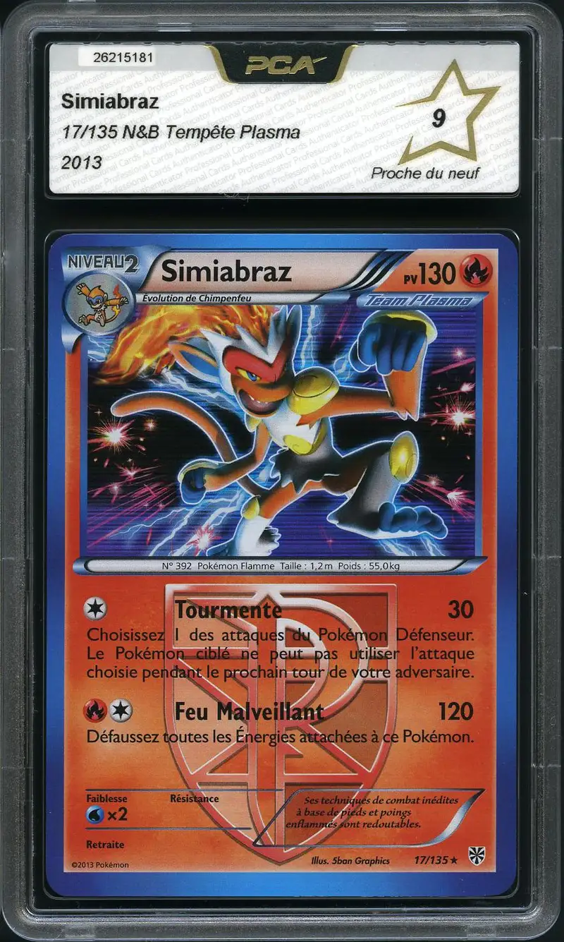 PCA 9 Simiabraz Holo