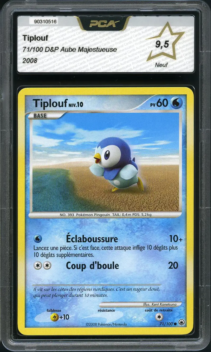 PCA 9.5 Tiplouf
