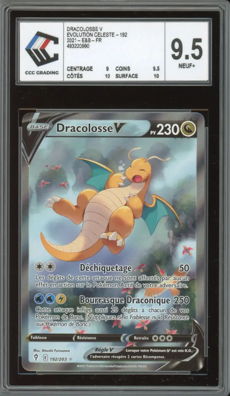 CCC 9.5 Dracolosse V