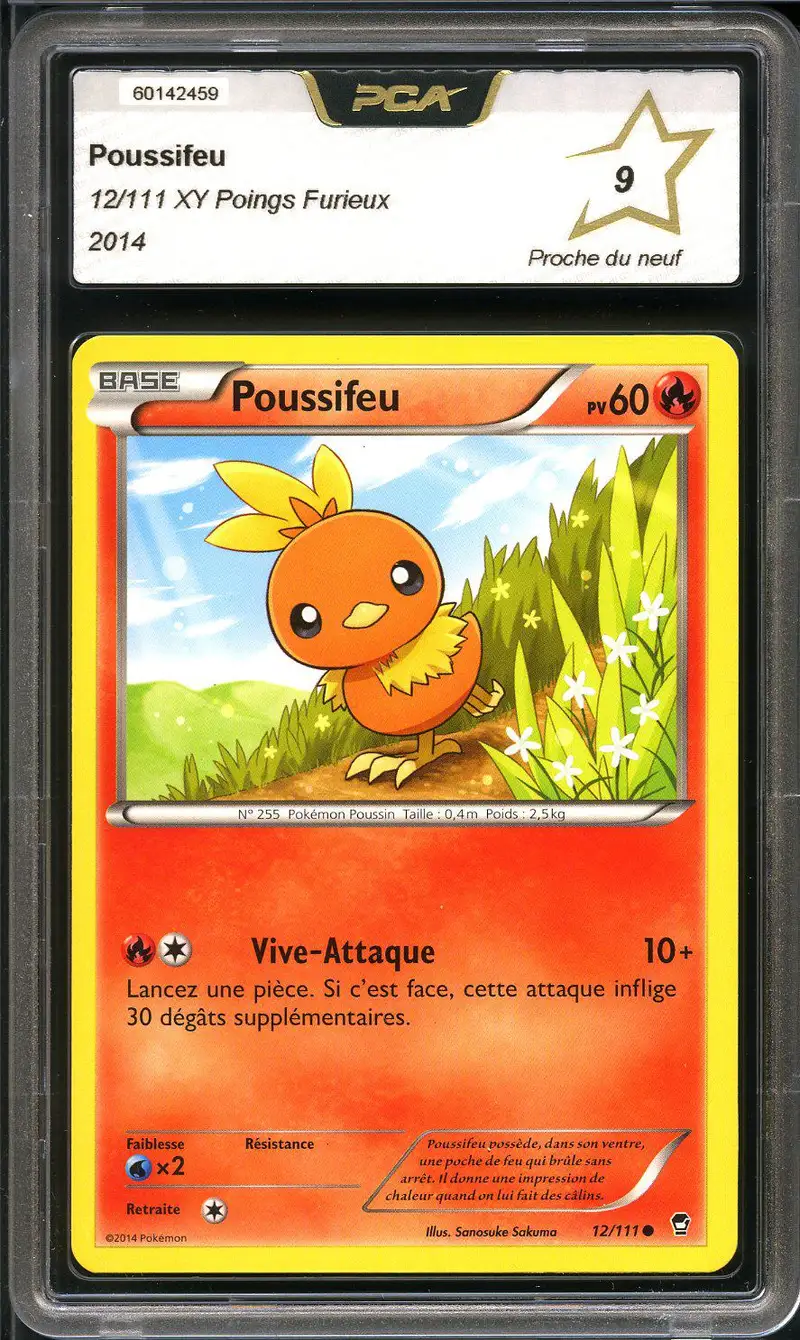 PCA 9 Poussifeu