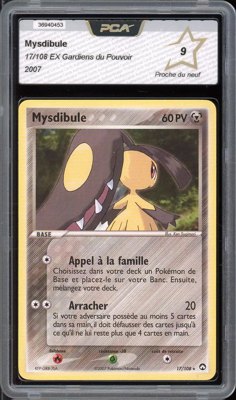 PCA 9 Mysdibule