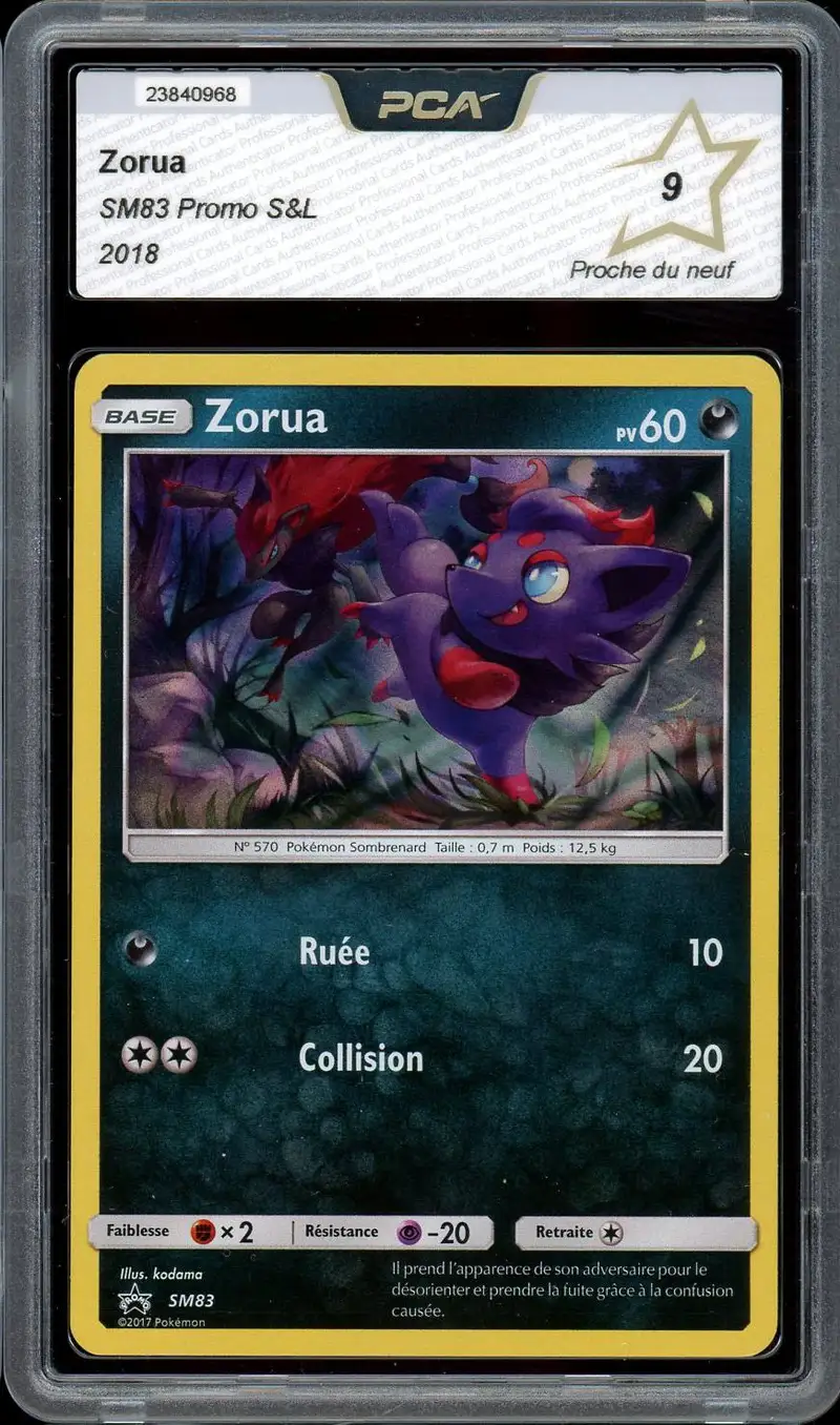 PCA 9 Zorua Holo