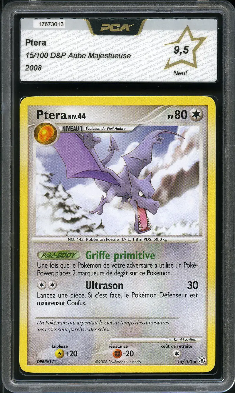 PCA 9.5 Ptera