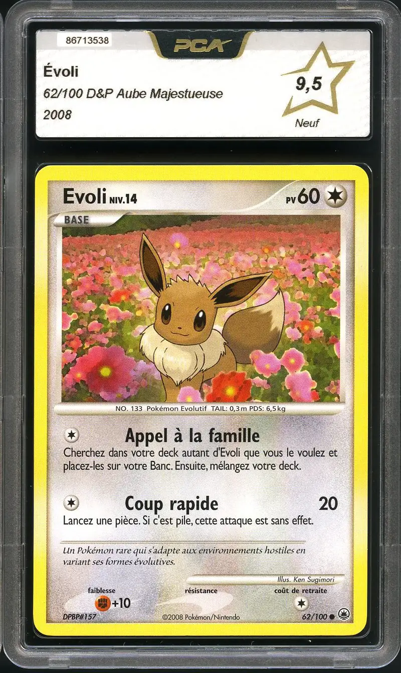 PCA 9.5 Evoli