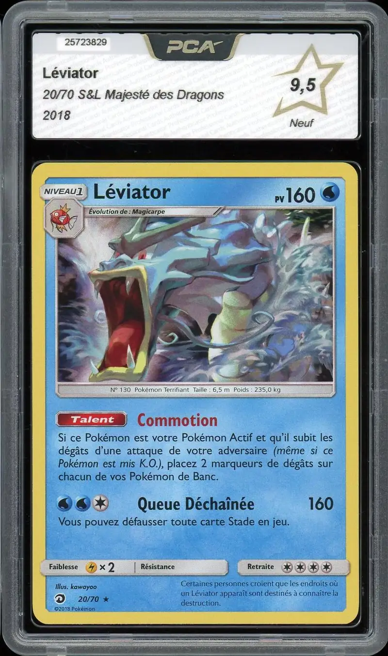 PCA 9.5 Léviator Holo