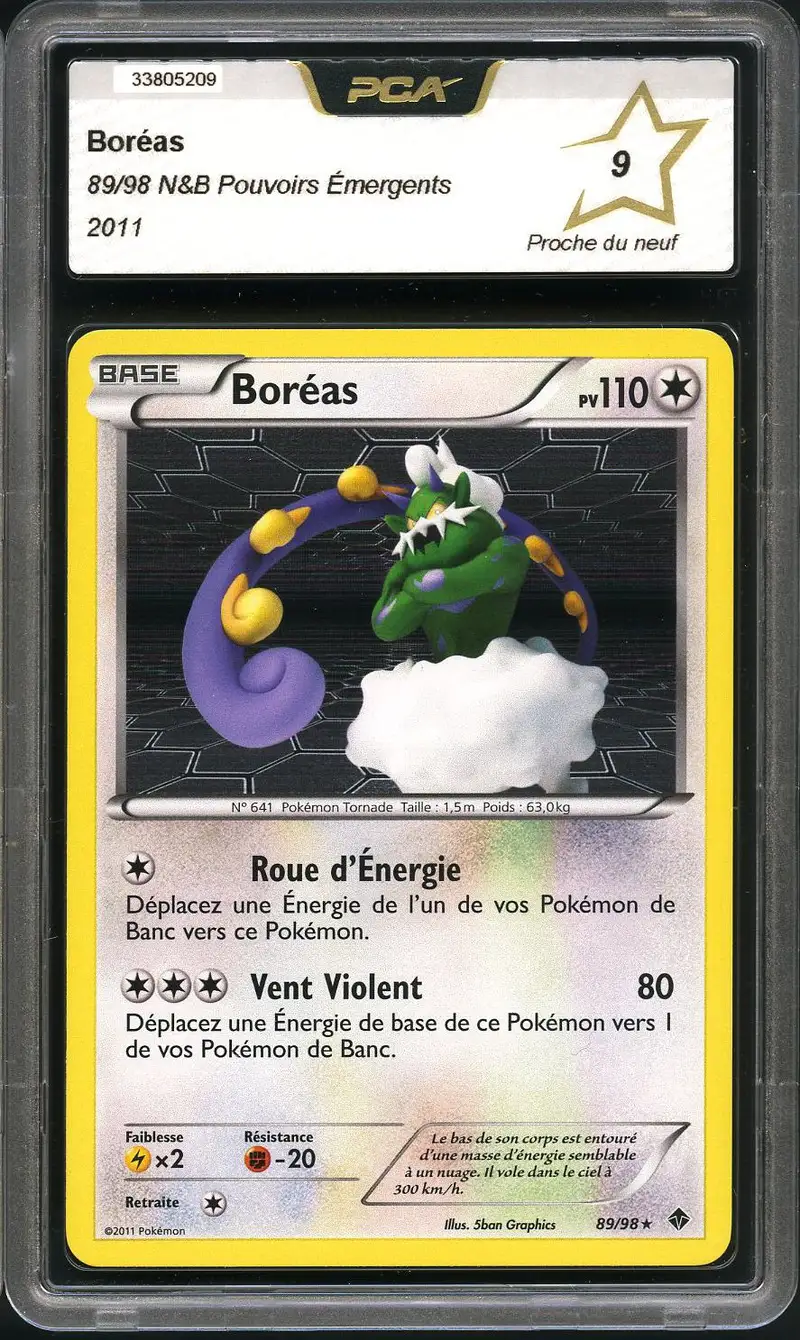 PCA 9 Boréas Holo