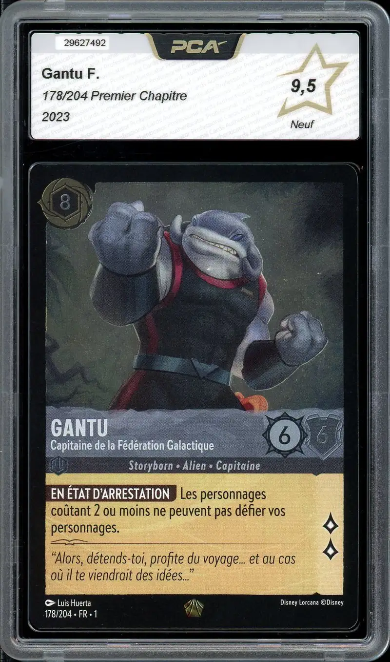 PCA 9.5 Gantu Foil