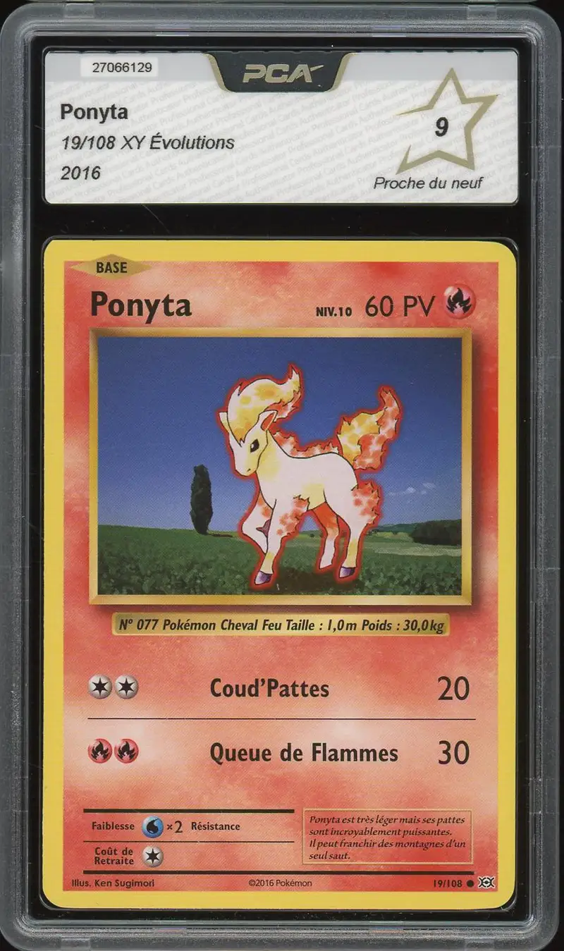 PCA 9 Ponyta