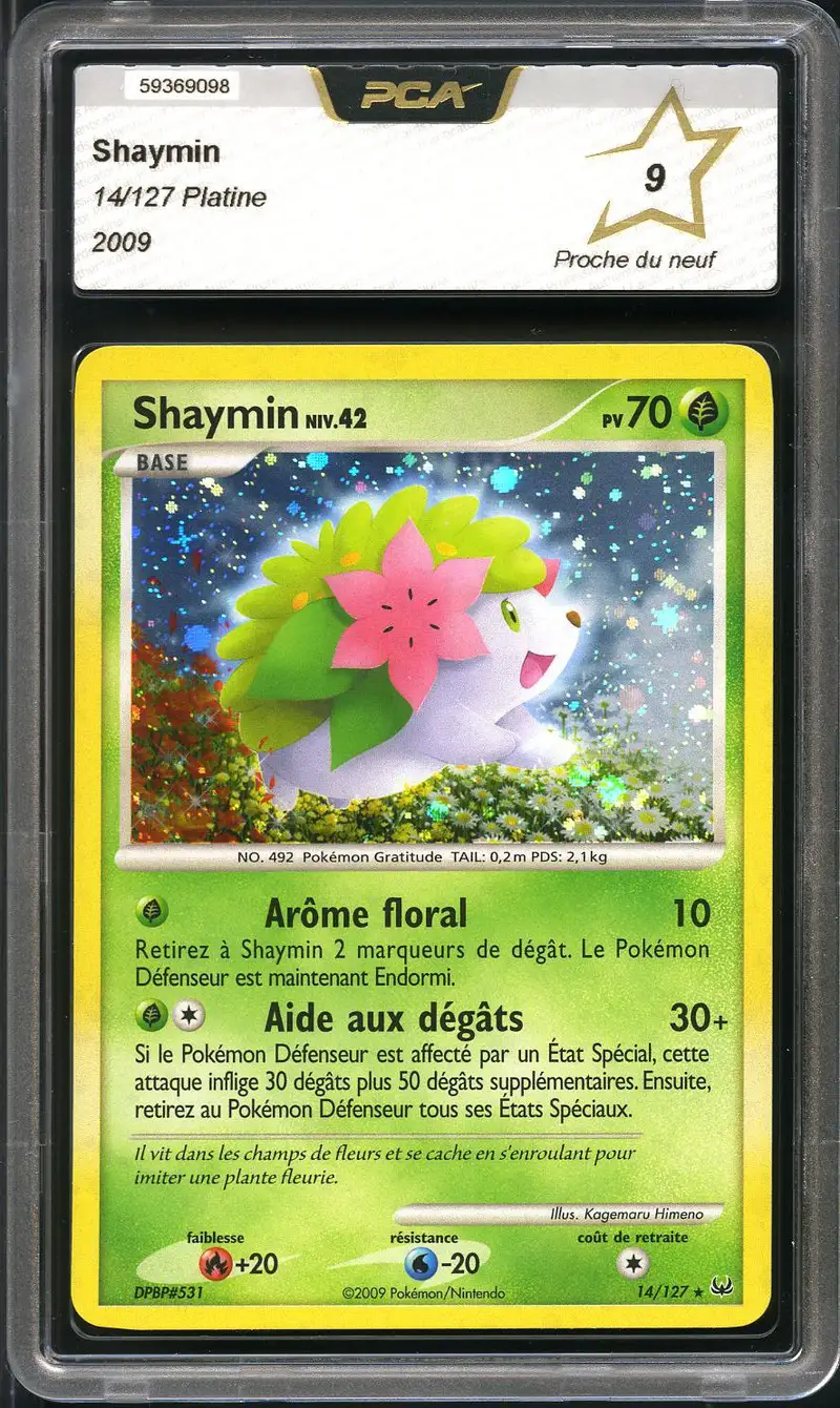PCA 9 Shaymin Holo