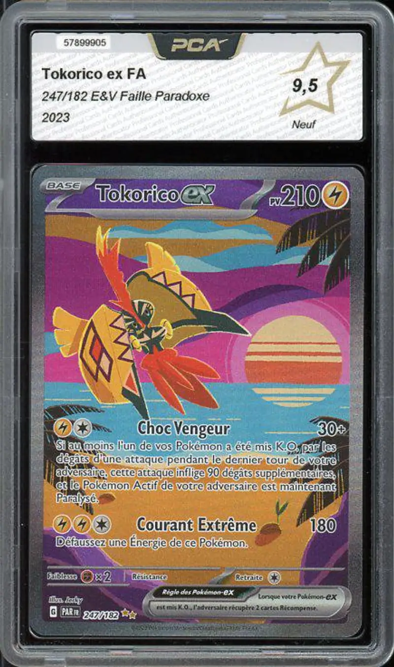 PCA 9.5 Tokorico Ex