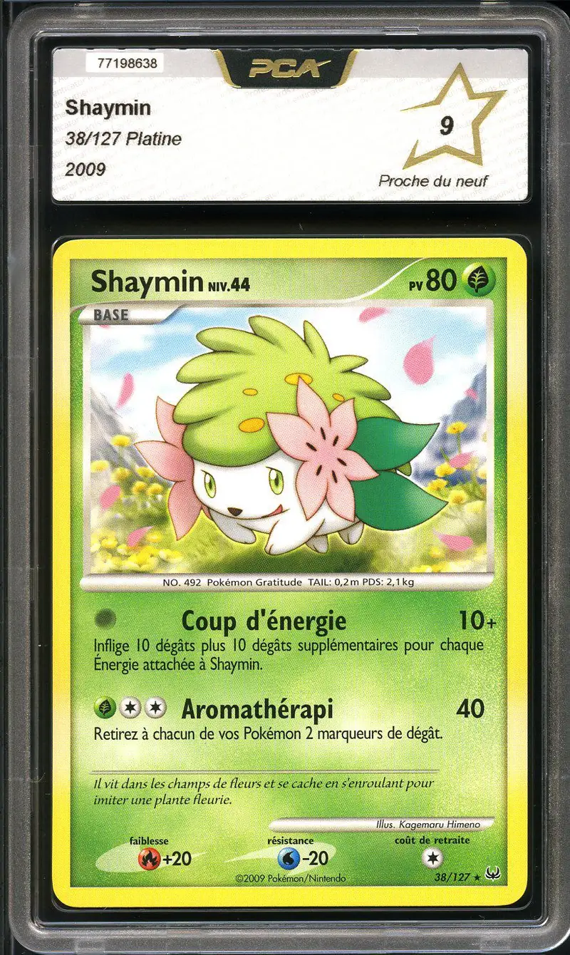 PCA 9 Shaymin