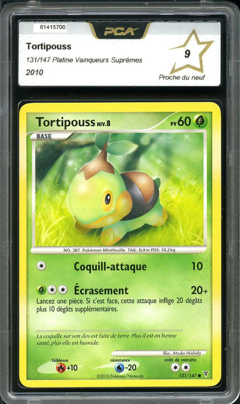 PCA 9 Tortipouss